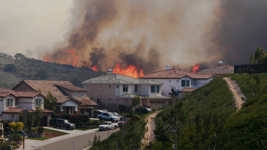 Neighborhood with greenery surrounded by an active fire.