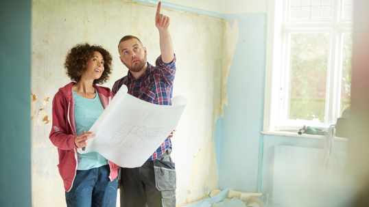 Woman of the house with contractor pointing to roof, explaining roofing plans